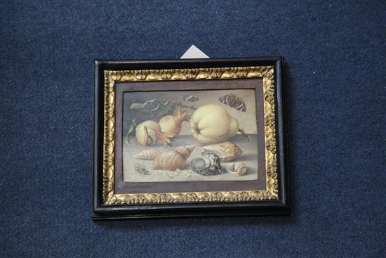 Manner of Balthasar van der Ast (1593-1657) Still life of fruit, shells and a grasshopper 4.75 x 6.75in.